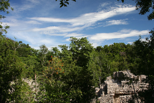Looking out over one of the many ball courts at the Cobá ruins